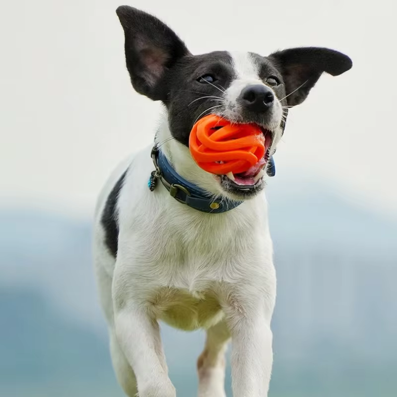 Durable Hollow Elastic Dog Chew Ball, Teeth Cleaning Molar Toy, Interactive Fetch Ball for Small Medium Dogs — image 5