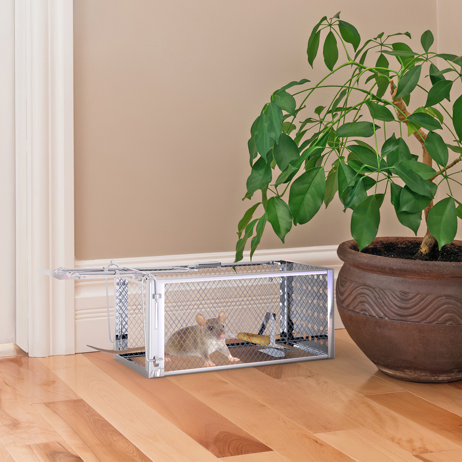 Caja de Trampa para Ratas con Puerta Única - Humano y Eficaz para Roedores Pequeños — imagen 7
