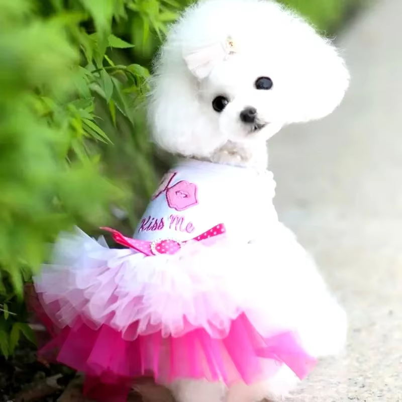 Spring Dog Lace Dress Pet Dog Clothes For Small Dog Party Birthday Wedding Dress Puppy Costume Pet Clothes — image 1