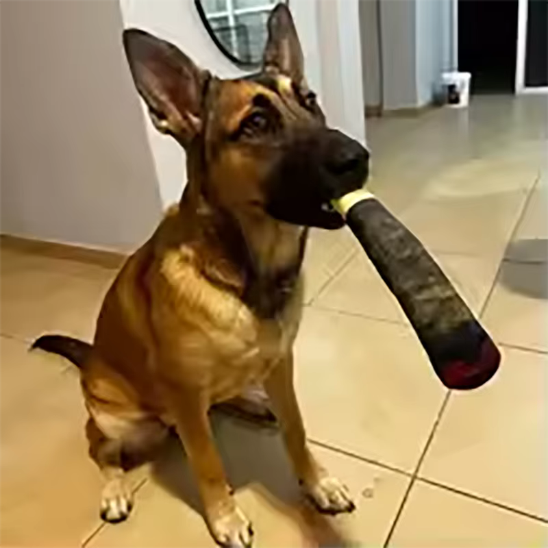 Funny Interactive Dog Toys Cigar Design Plush Squeaky Pet Toys Grinding Teeth Creative Chew Cool Stuffed Gifts for Dog Birthday — image 6