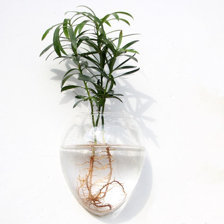 Vaso de Vidrio para Terrario Decorativo en Línea - Jardín Acuático para Hogar — imagen 51