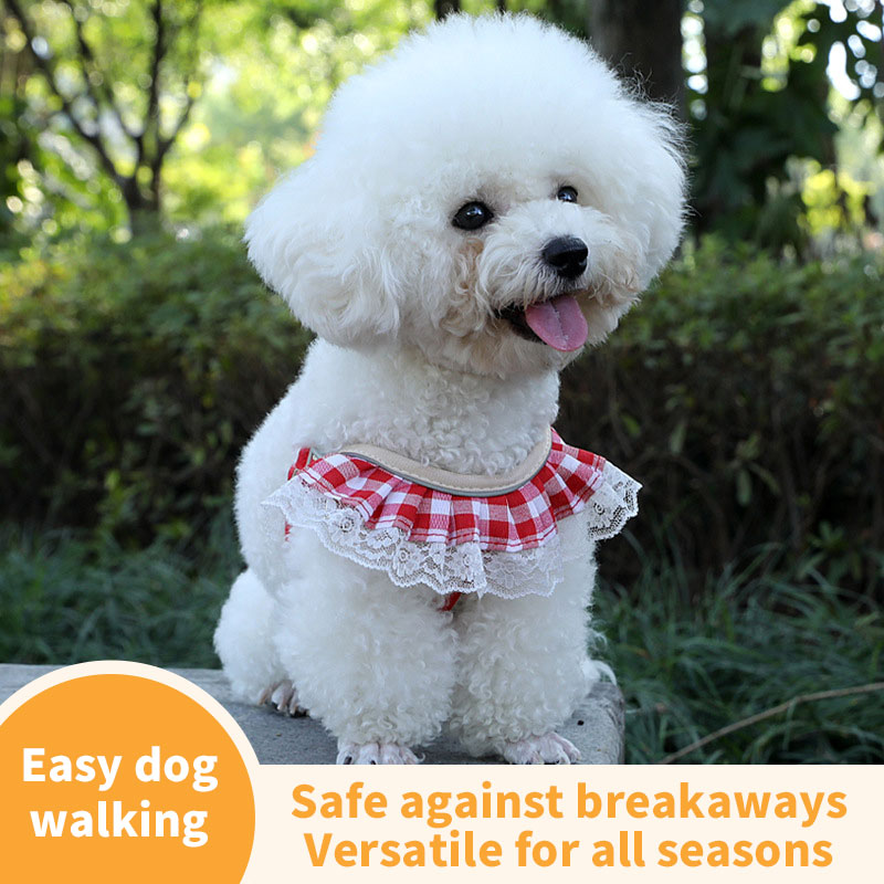 Fashion New Cat Anti-Breakaway Leash Small Dog Chest Strap Teddy Bichon Dog Chain Adjustable — image 3