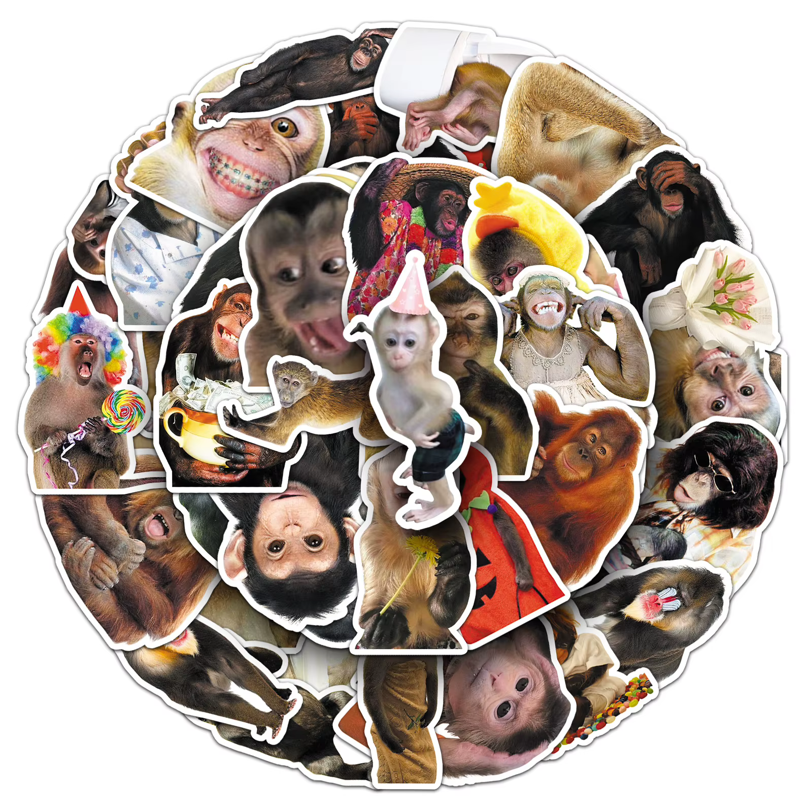 50PCS Funny Monkey Chimpanzees Meme Stickers Realistic Graffiti Decoration DIY Notebook Suitcase Guitar Refrigerator Toys Decals — image 2