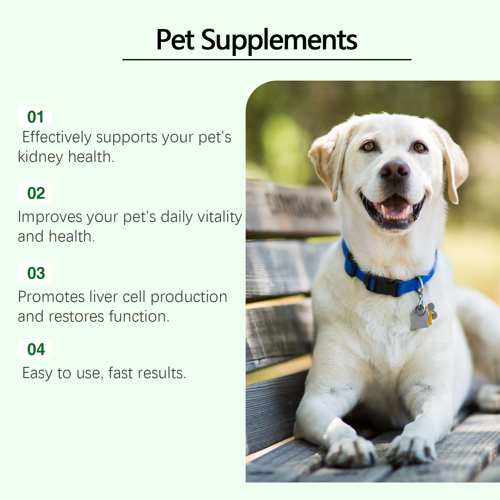 Pet Care Supplement To Enhance The Health Of Pets Gentle Ingredient Care Supplement — image 6