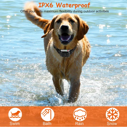 Collar de Entrenamiento Remoto Inalámbrico para Perros con 4 Canales, Modos de Silbido, Vibración y Choque, IPX6 Resista a Agua — imagen 5