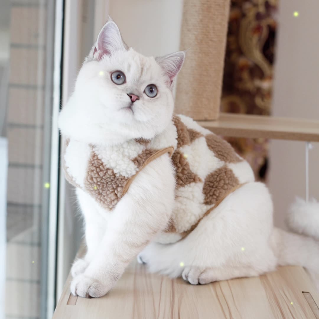 Chaqueta de invierno y otoño para perros: chaleco cálido de felpa con cuadros diamante de dos pies, nuevo — imagen 8