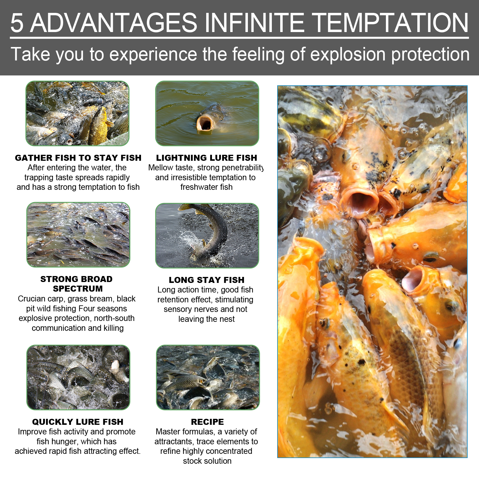 Bait Attractant, Reservoir Bait Fishing Bait Fish Portable Fish Primer — image 6