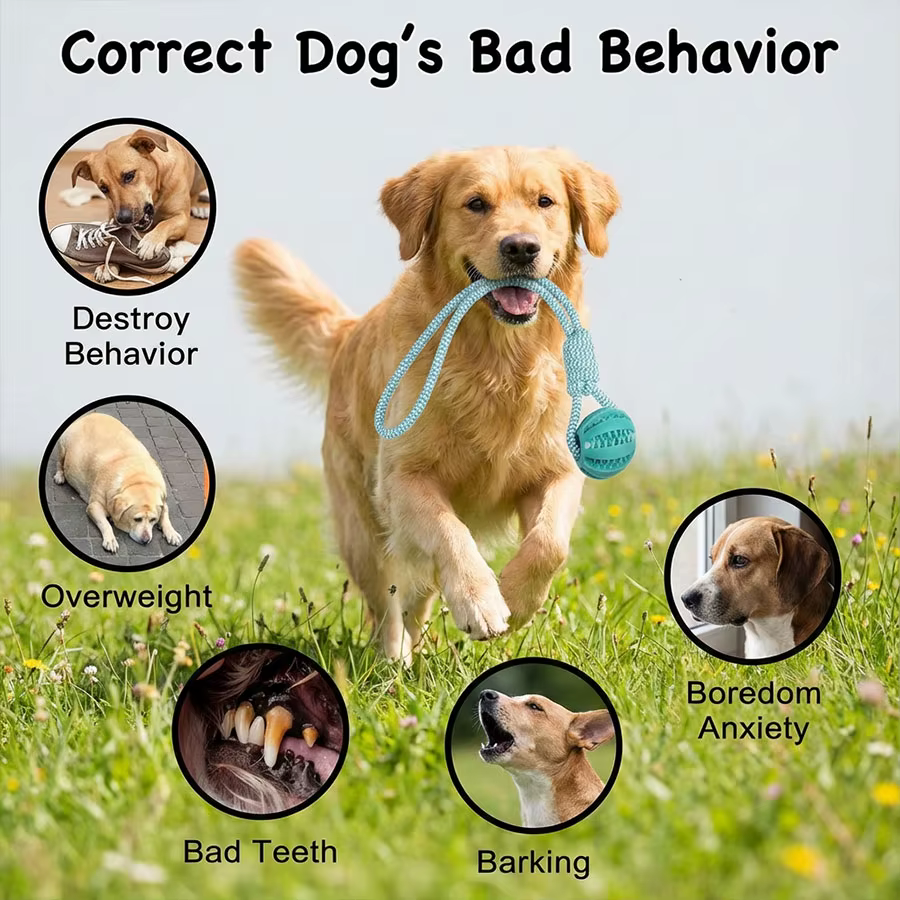 Pelota de Juguetes para Perros Azul Claro Duradera, Resistente a Bocados y Mordeduras, Limpieza Dental Interactiva — imagen 3