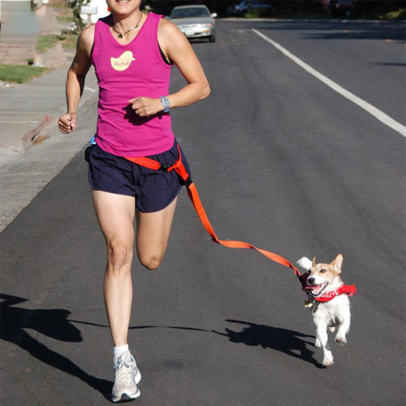 Correa de Tracción Atractiva para Perros, Ideal para Correr y Trotar, Conveniente, Segura y de Moda — imagen 1