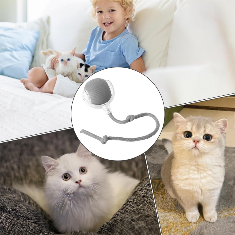 Pelota Rodante Interactiva para Gatos — imagen 13