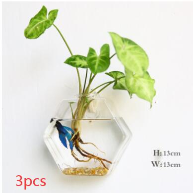 Vaso de Vidrio para Terrario Decorativo en Línea - Jardín Acuático para Hogar — imagen 22