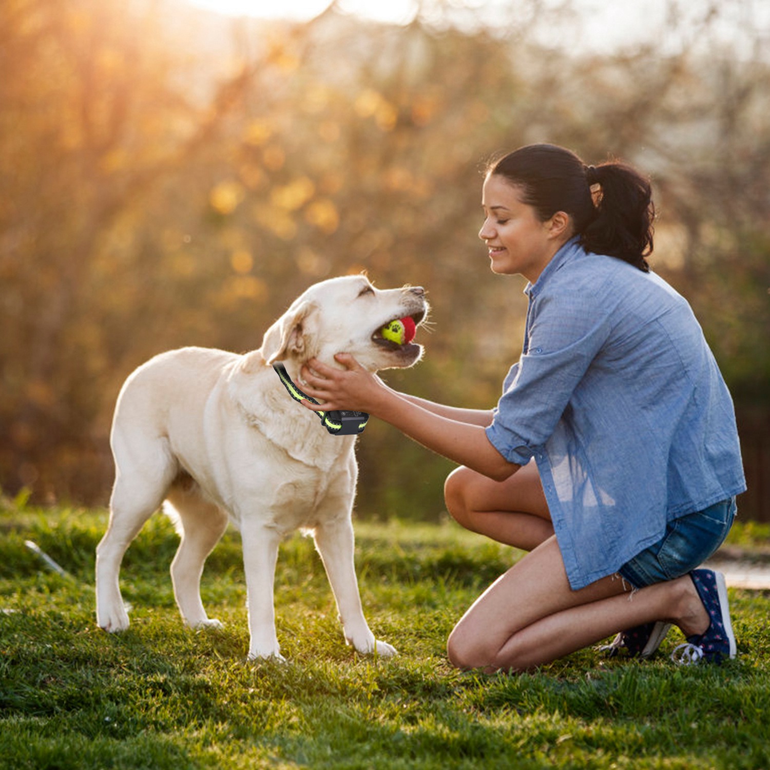 Collar de Silbido para Perros Rechargeable Impermeable Silbido Vibración Estímulo Estático Parada Automática de Ladridos Identificación Inteligente con 6 Modos de Intensidad Doble — imagen 3
