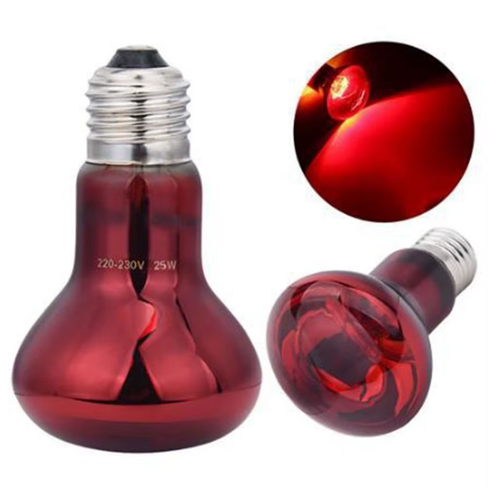 Night Light UVA Led Pet Heating Lamp Adjustable 4 Kinds UVA Day Night Bulb 220-230V Infrared Reptile Heat Bulb Snake — image 2