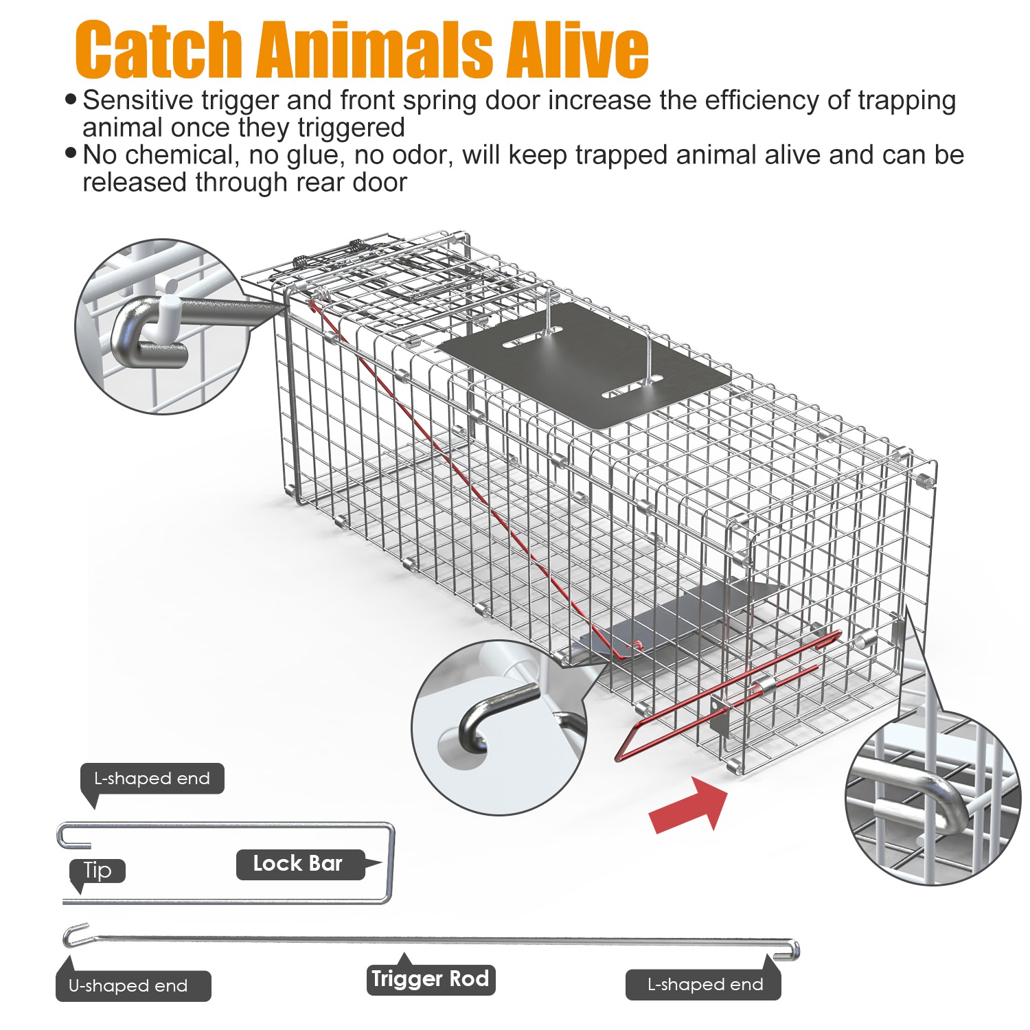 Humane Cat Trap Cage Catch Release Live Animal Rodent Cage Collapsible Galvanized Wire For Small Raccoons Beavers Groundhogs Foxes Armadillos — image 12
