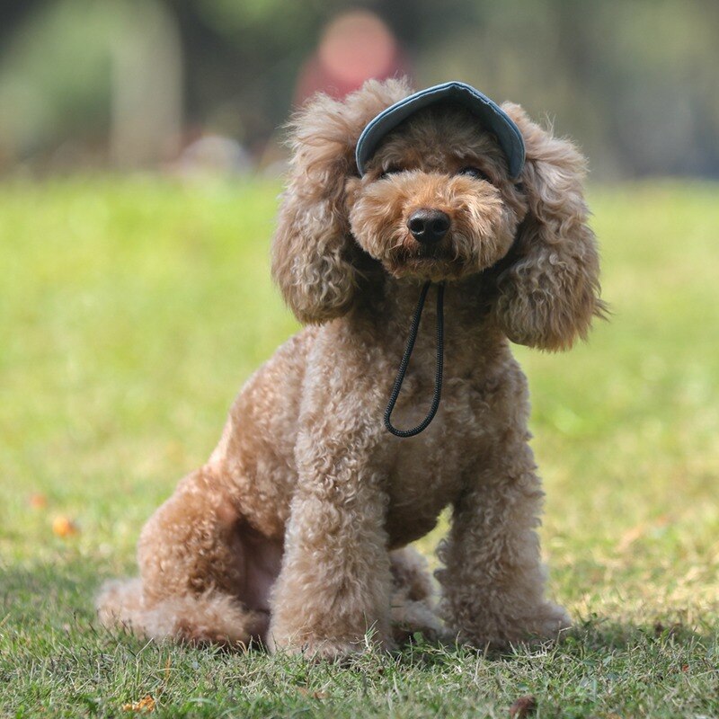 Pet Hat With Ear Holes Dog Sport Baseball For Sun Protection Adjustable Buckle Design Outdoor Wear-Resistant Dog Cap — image 3