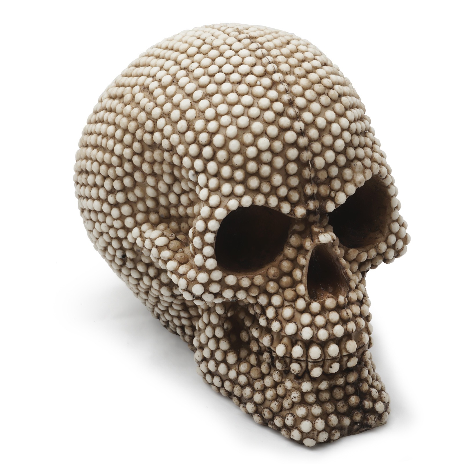 Cabeza de Calavera Cabeza de Calavera Adorno de Cráneo Animal — imagen 5