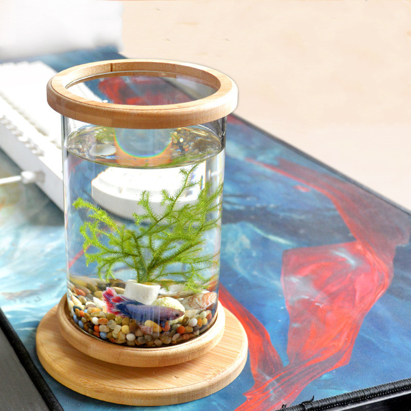 Acuario de Vidrio en Base de Bambú para Oficina Pequeña Decoración para Peces Mini