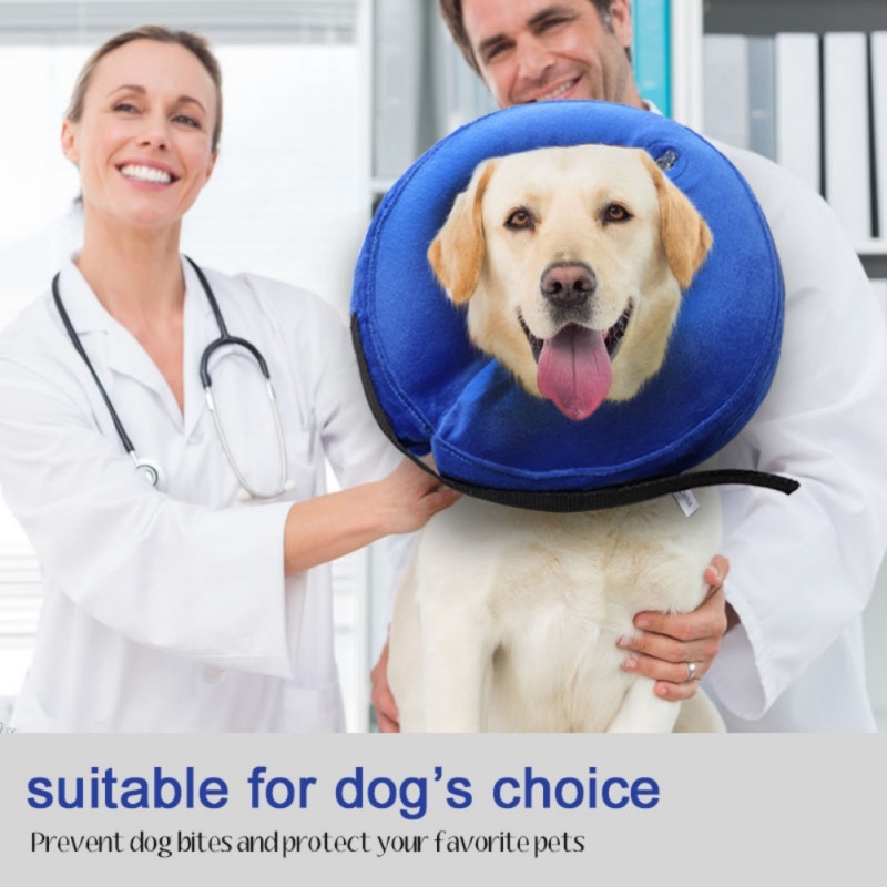 Protector Inflable para Perros y Gatos - Cono de Curación de Heridas - Collar Suave con Zipper - Suministros Veterinarios para Mordeduras - PVC Resistente al Mordisco — imagen 3
