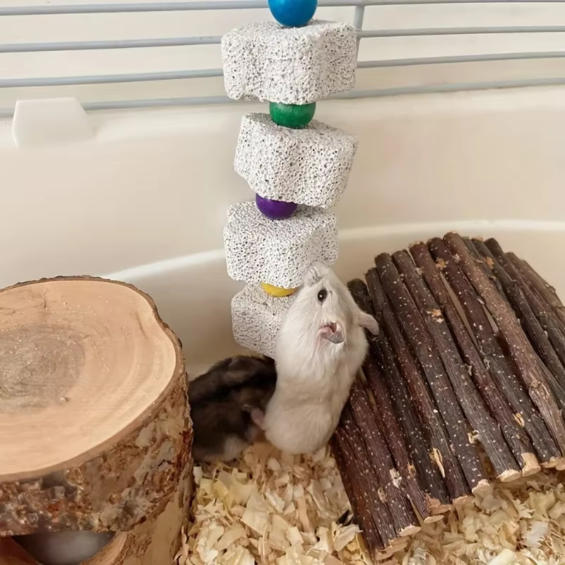 Flower-Shaped Bird Molar Toy Parrot Grinding Stone Bird Cage Toy Parakeet Chinchilla Squirrel Toy Bird Cage Accessories — image 2