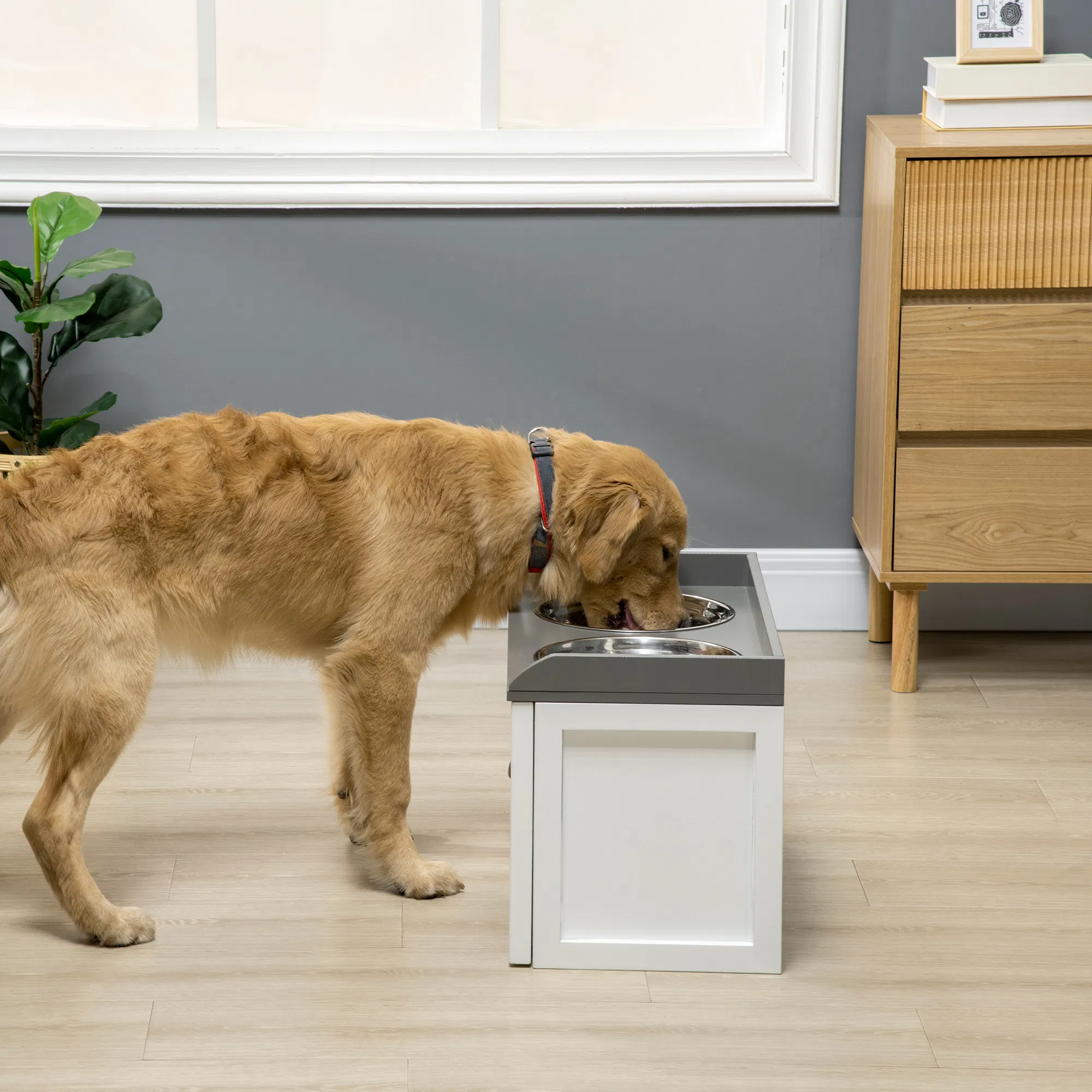 Elevated Dog Bowl — image 1