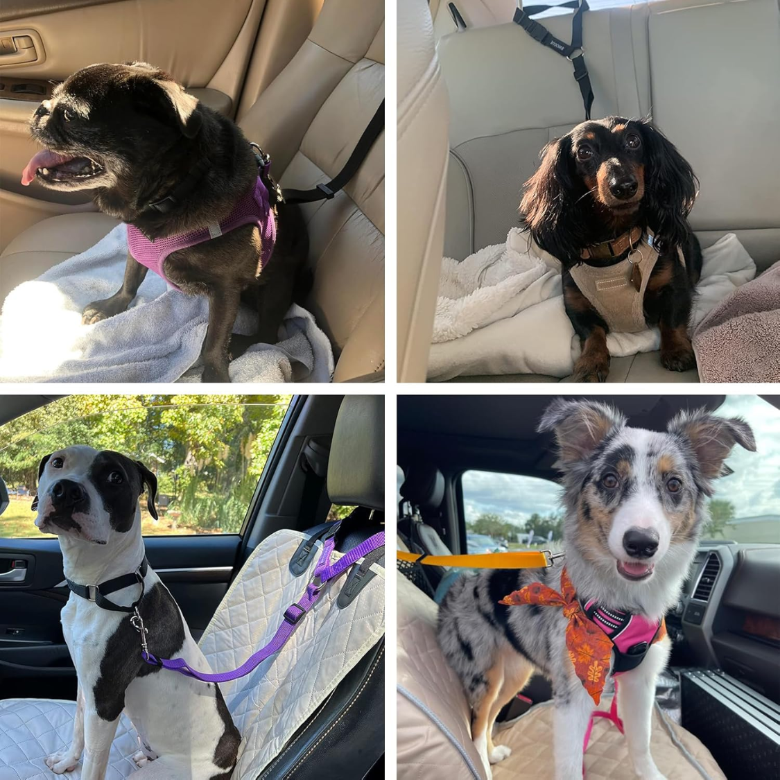 Paquete de 2 Cinturones de Seguridad para Perros para Auto, Correas de Seguridad con Sujeción al Reposacabezas — imagen 5