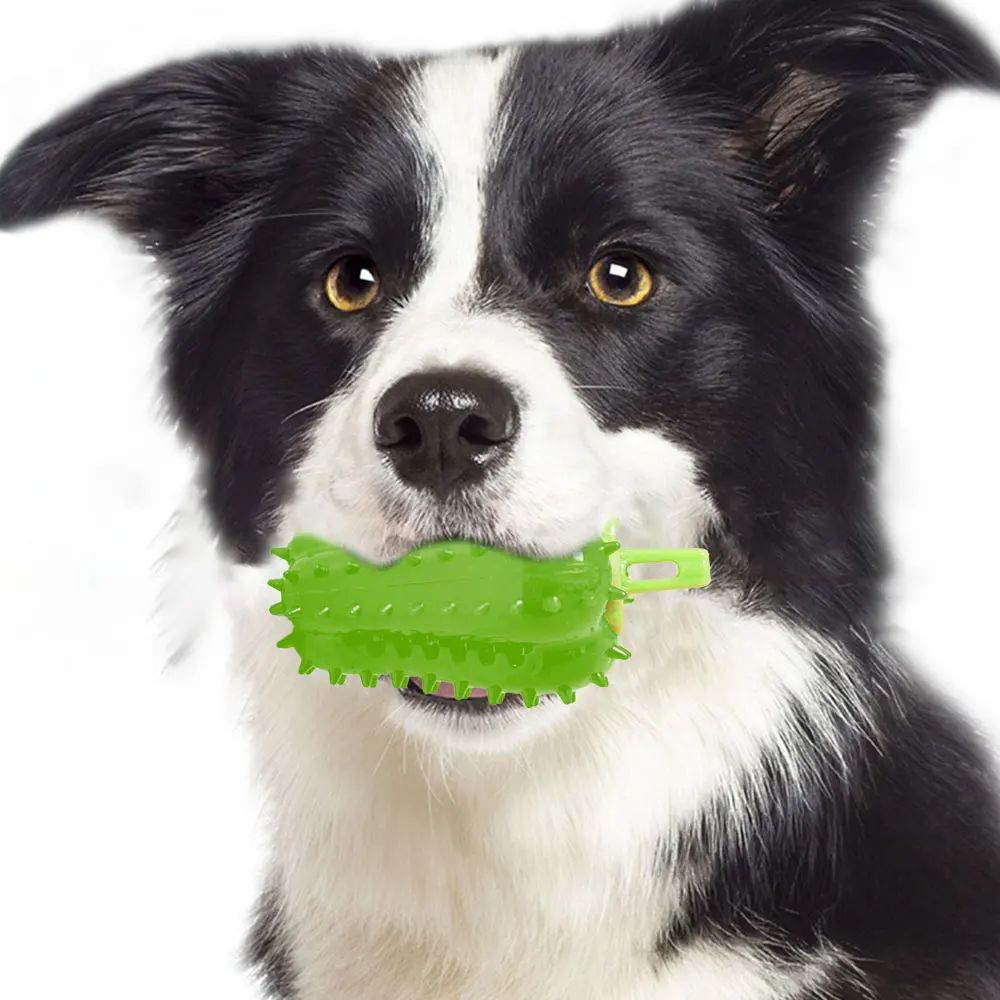 Juguetes Interactivos para Perros - Mordedores Chili Chomper — imagen 18