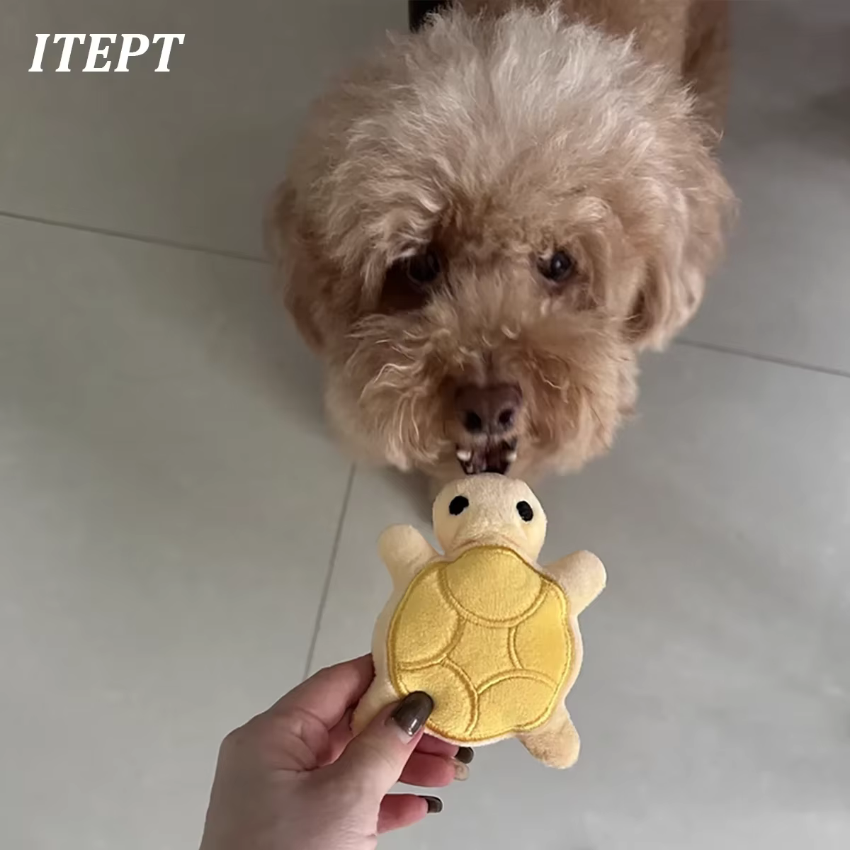 Juguetes para Perros Tortuga de Plush Pequeño Juguetes de Mordida para Cachorros Alivio del Diente Interactivo Seguro y Divertido — imagen 2