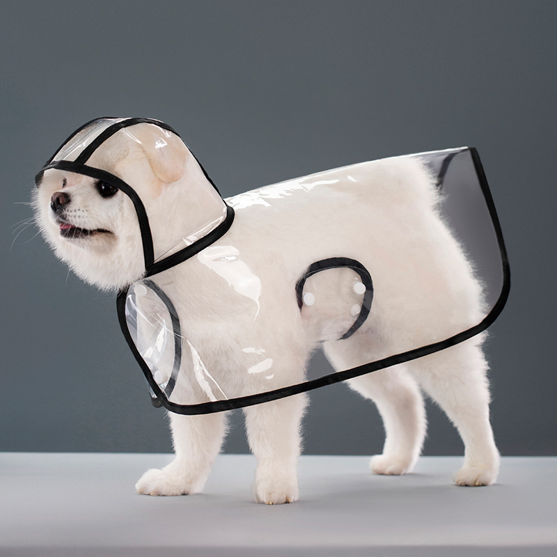 Ropa de Perro Impermeable de Plástico Transparente — imagen 10