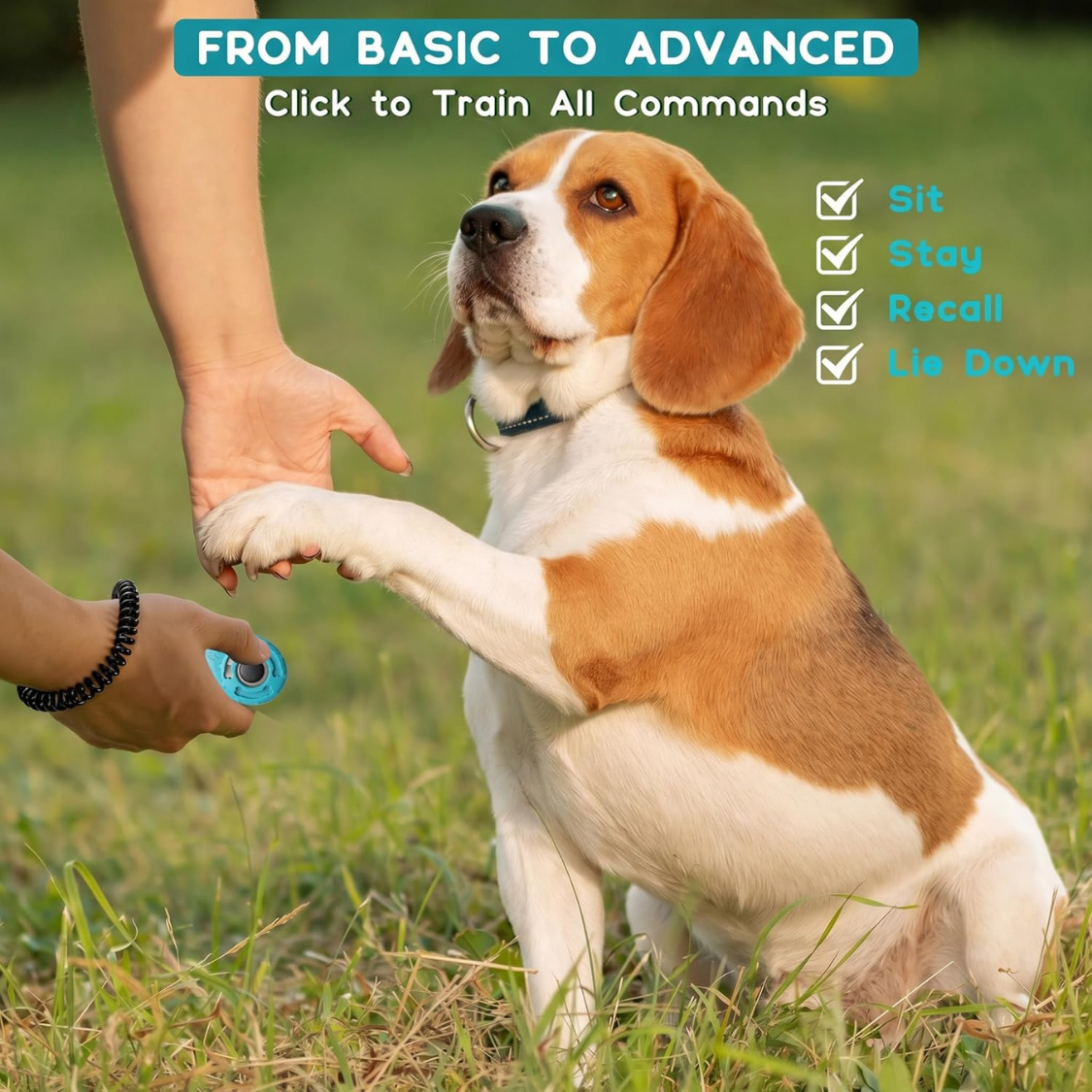 Dog Training Clicker With Sring Wrist And Keyring Pet Dog Training Clickers For Puppy, Cat — image 4