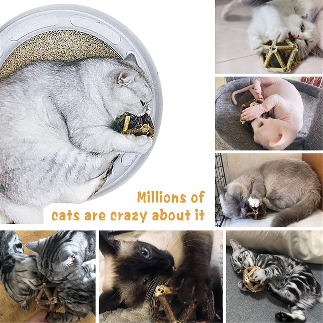 Pelota de Ciprés Plateado con Hierba del Gato Natural - Juguetes para Gatos Domésticos - Herramientas para Limpiar Dientes y Muelas — imagen 3