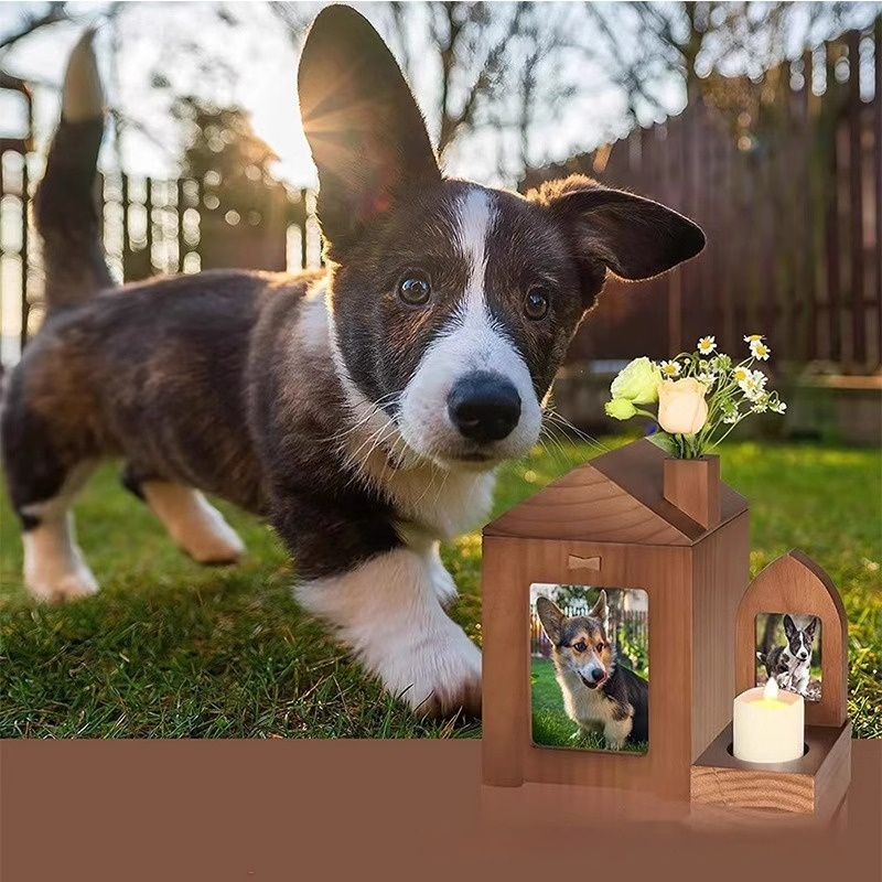 Pet Urn Solid Wood Memorial Wooden Box Animal Cremation Funeral Products — image 7