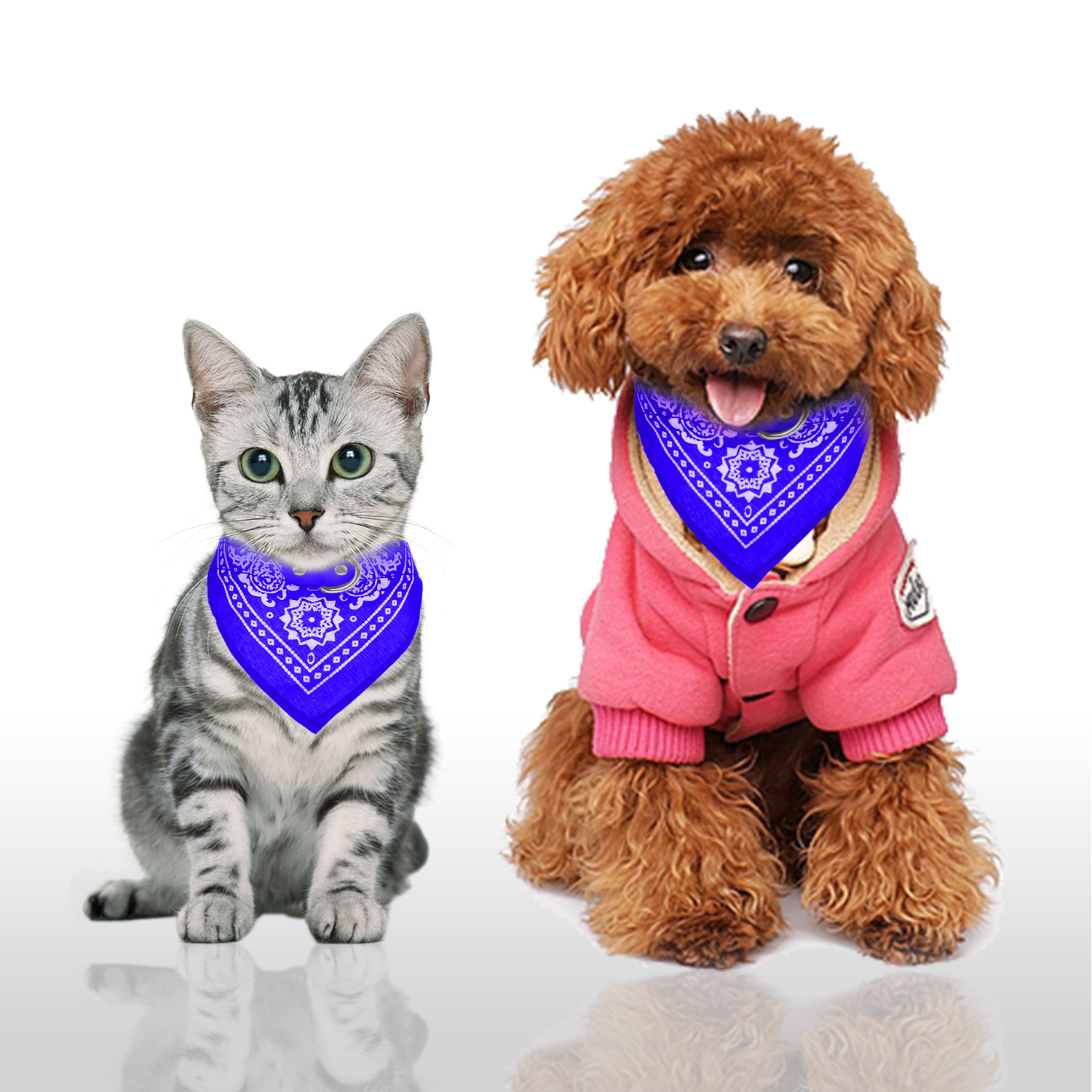 Collar de Piel Ajustable para Mascota con Pañoleta Triangular — imagen 8