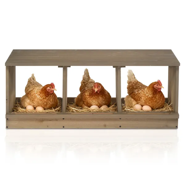 Cajas de Incubación para Pollos, Caja de Puesta en Madera para Gallinas y Patos, 3 Compartimentos Gris — imagen 5