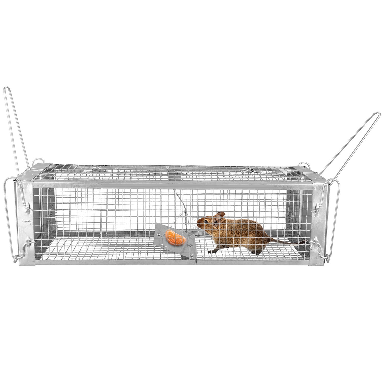 Cage de Rat con Dos Puertas Humano, Trampa para Roedores con Malla Densa y Electroplating de Zinc — imagen 12