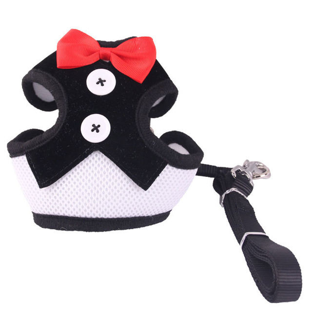 Vestido de Cuerda para Perros Tipo Teddy con Correa y Cinturón de Pecho para Canes de Tamaño Pequeño a Mediano — imagen 5