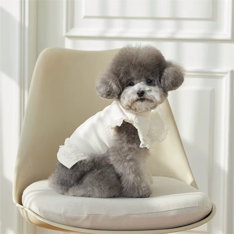 Pet Spring Lace Flying Sleeve Bottom Shirt Cute Colorful Tank Top Pet Teddy Bottom Shirt Cat T-shirt Top Puppy Clothes — image 3