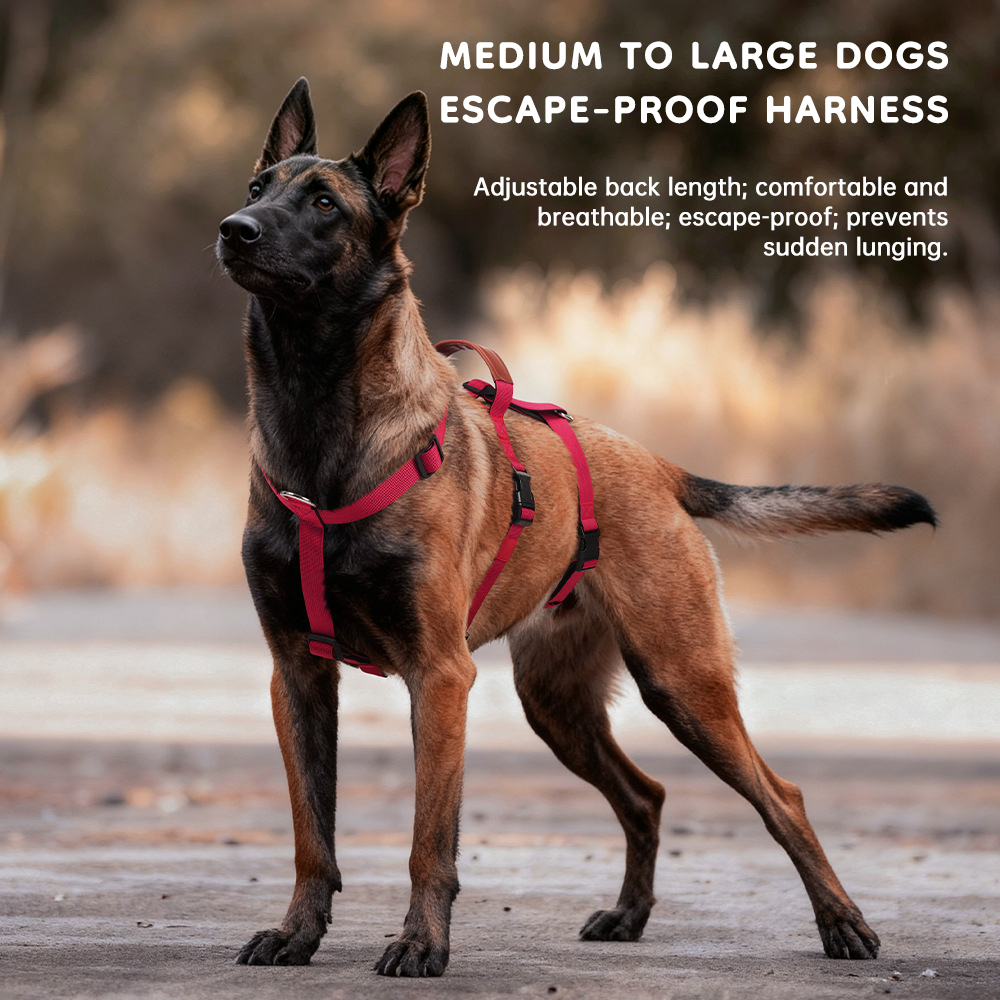 Tactical No-Pull Dog Harness, Bulletproof Vest Style for Large Dogs — image 15