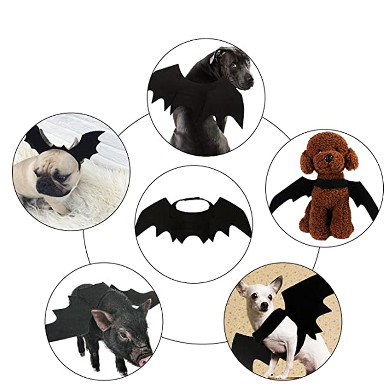 Alas de Murciélago para Gatos: Accesorios de Decoración de Halloween para Mascotas Pequeñas — imagen 1