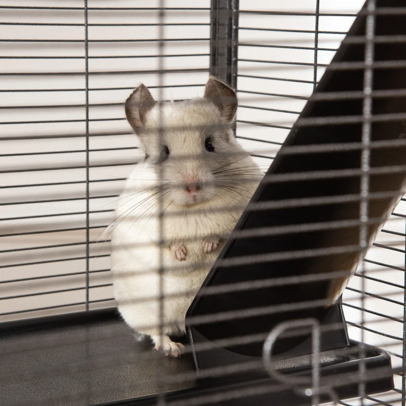 PawHut Metal Small Animal Cage Rolling Big Ferret Cage, Chinchilla Cage, Sugar Glider Cage, With Hammock & 4 Tiers, Removable Tray, Gray — imagen 2