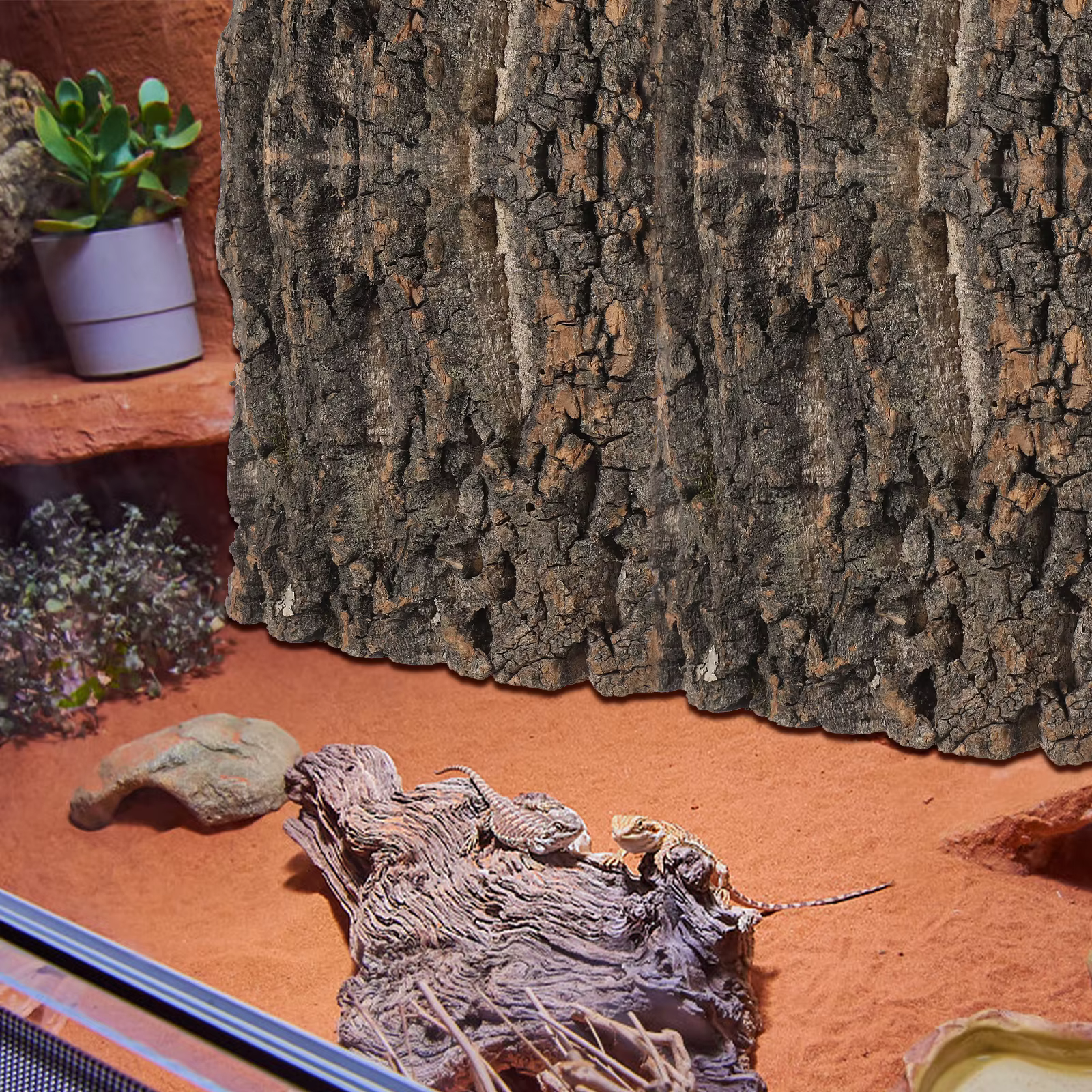 4 Piezas de Fondo de Corteza de Corcho para Terrario, Decoración para Terrario de Reptiles, Fondo de Corteza Natural para Lagartos, Geckos, Dragones Barbudos y Acuarios — imagen 5