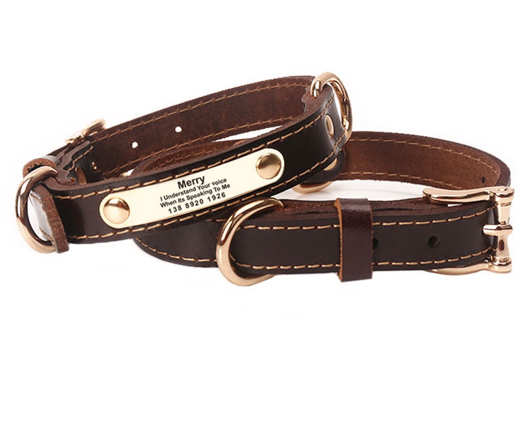 Collar de Perro con Grabado Anti-Pérdida en Cuerino Dorado para Labradores de Pelo Rubio Pequeño, Mediano y Grande — imagen 1