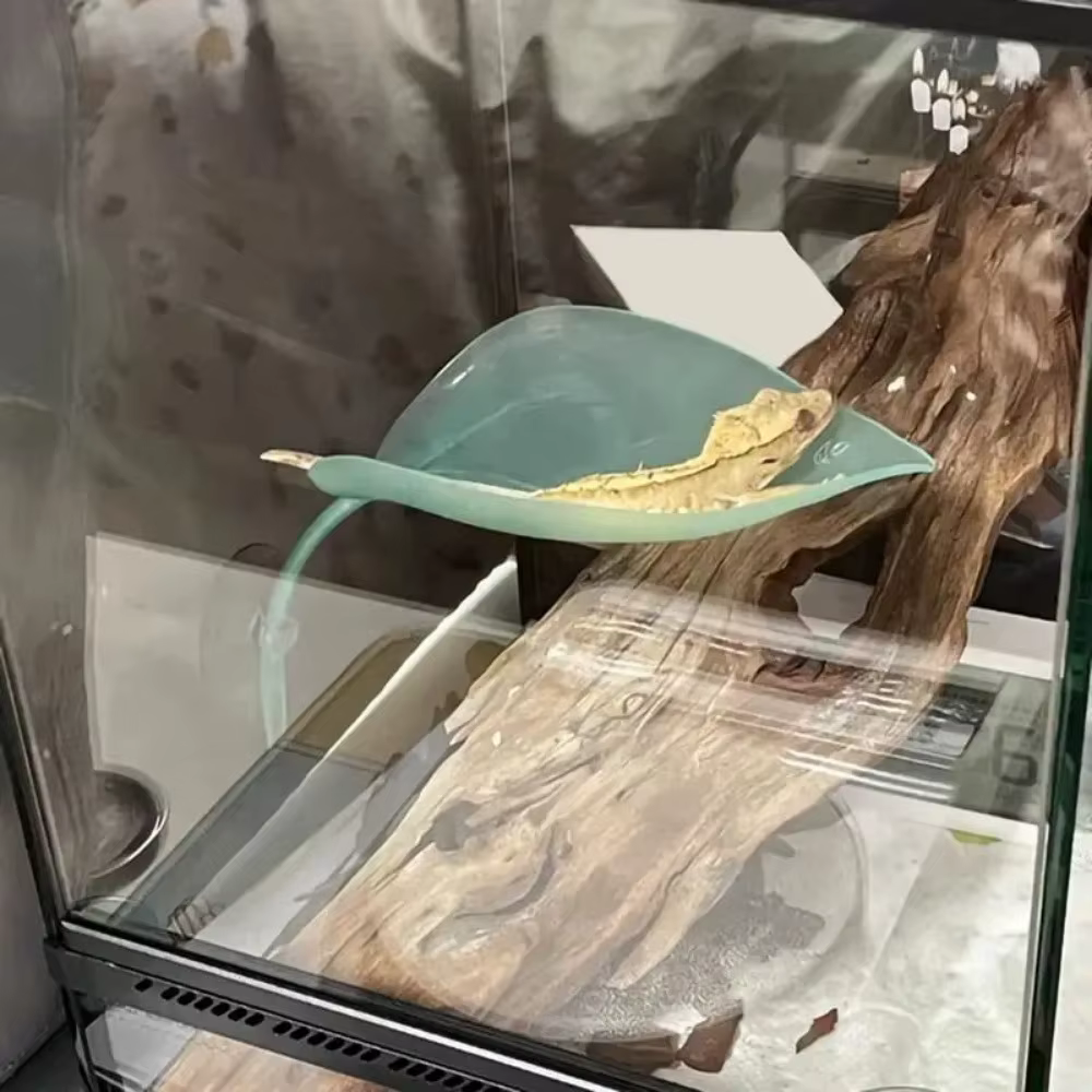 Hoja con Ventosa para Hábitat de Ranas 2026, Área de Descanso para Reptiles y Gecos, Terraza de Hojas Simuladas, Accesorio para Terrario — imagen 3