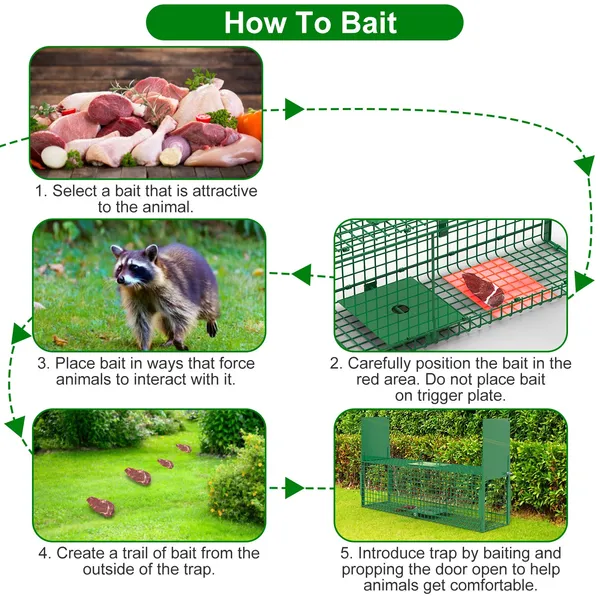 Live Animal Cage Trap For Animals Under Easy To Setup Humane Galvanized Iron Trap Cage For Raccoons Armadillos Groundhogs Muskrats Opossums Skunks — image 2