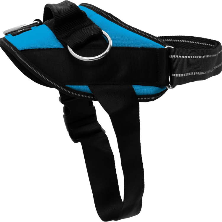 ShawnCo Essential Dog Harness, No-Pull Pet Vest Oceanic Blue, S — image 1