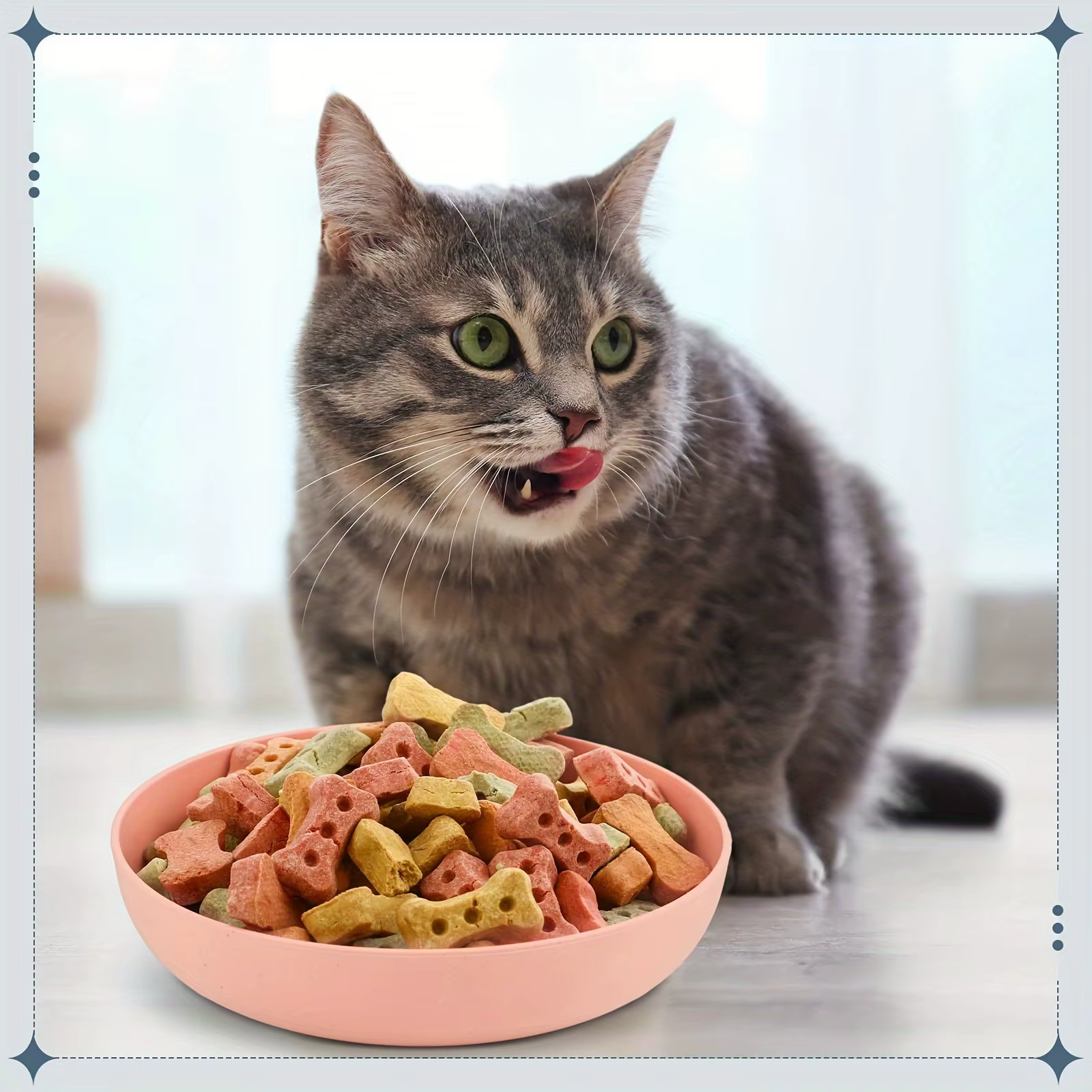 4pcs Cat Bowls, 13.97 Cm Wide Shallow Pet Food & Water Dishes, Plastic Non-Slip Colorful Feeding Plates For Small Cats, Kittens — image 3