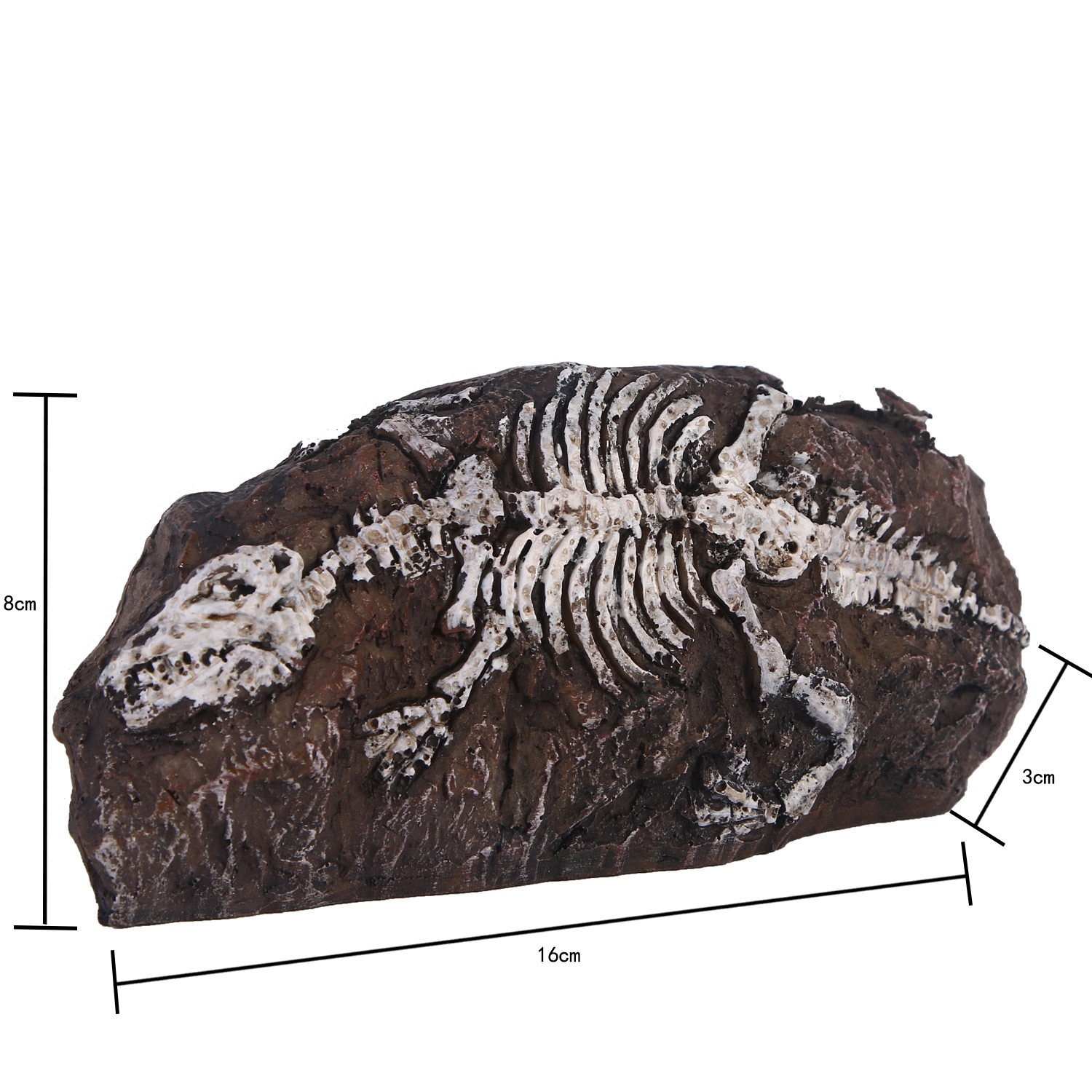 Decoraciones de resina para acuario Fossil — imagen 2