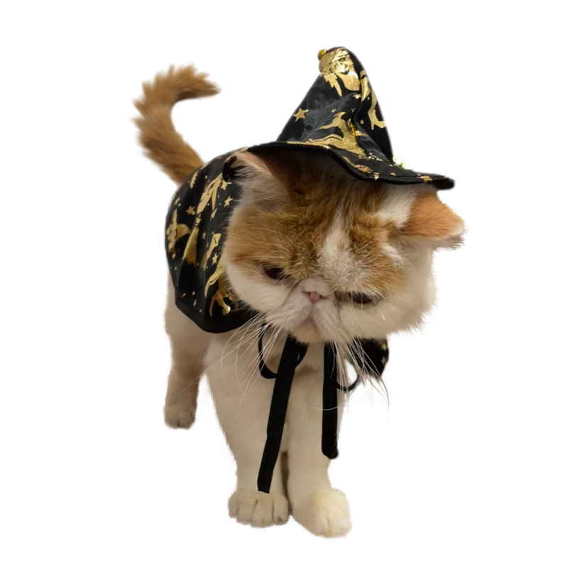 Traje de Bruja de Halloween para Gatos - Capa Mágica de Hada — imagen 2