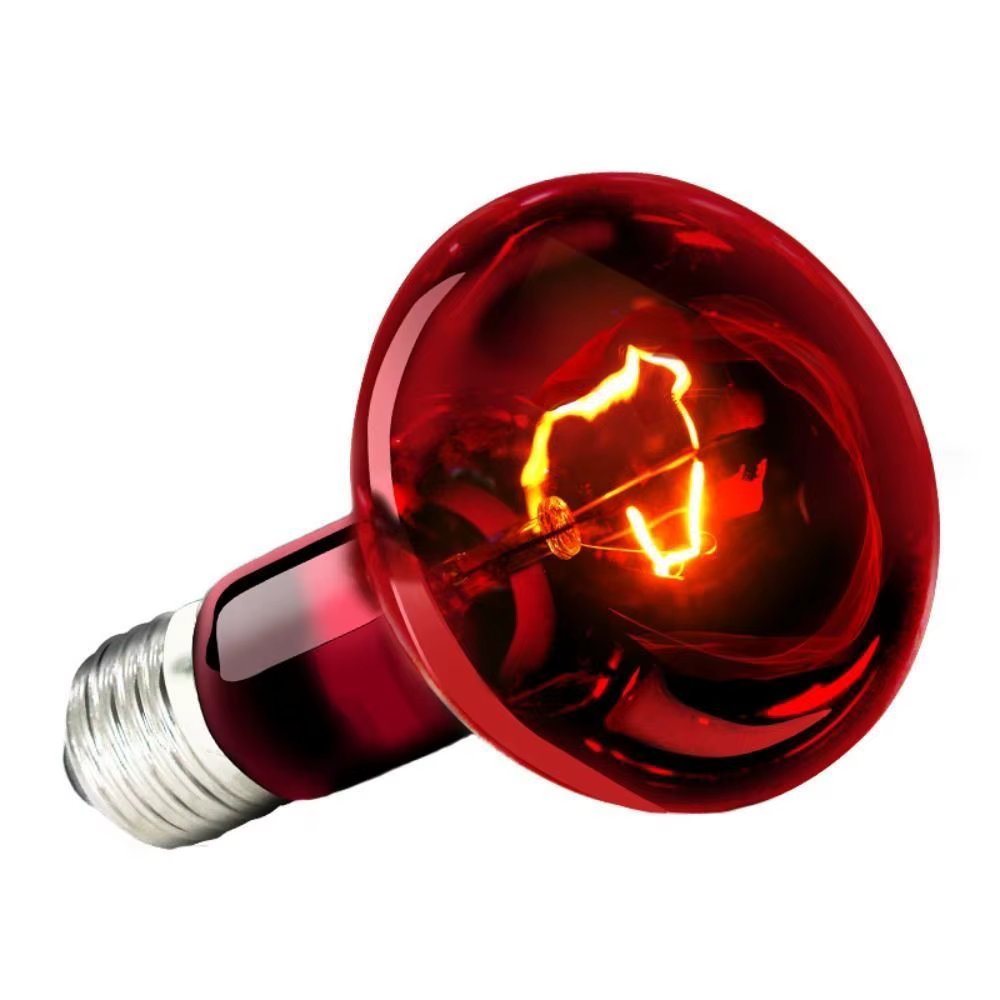 Night Light UVA Led Pet Heating Lamp Adjustable 4 Kinds UVA Day Night Bulb 220-230V Infrared Reptile Heat Bulb Snake — image 6