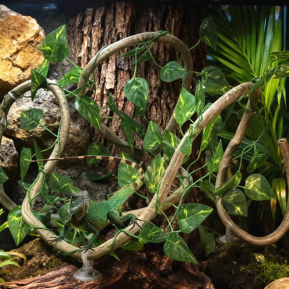 Enredaderas Artificiales de 1M para Reptiles, Flexibles y Moldeables, Plantas de Ratán Falsas para Trepar, Decoración de Terrario y Hábitat para Lagartos — imagen 2