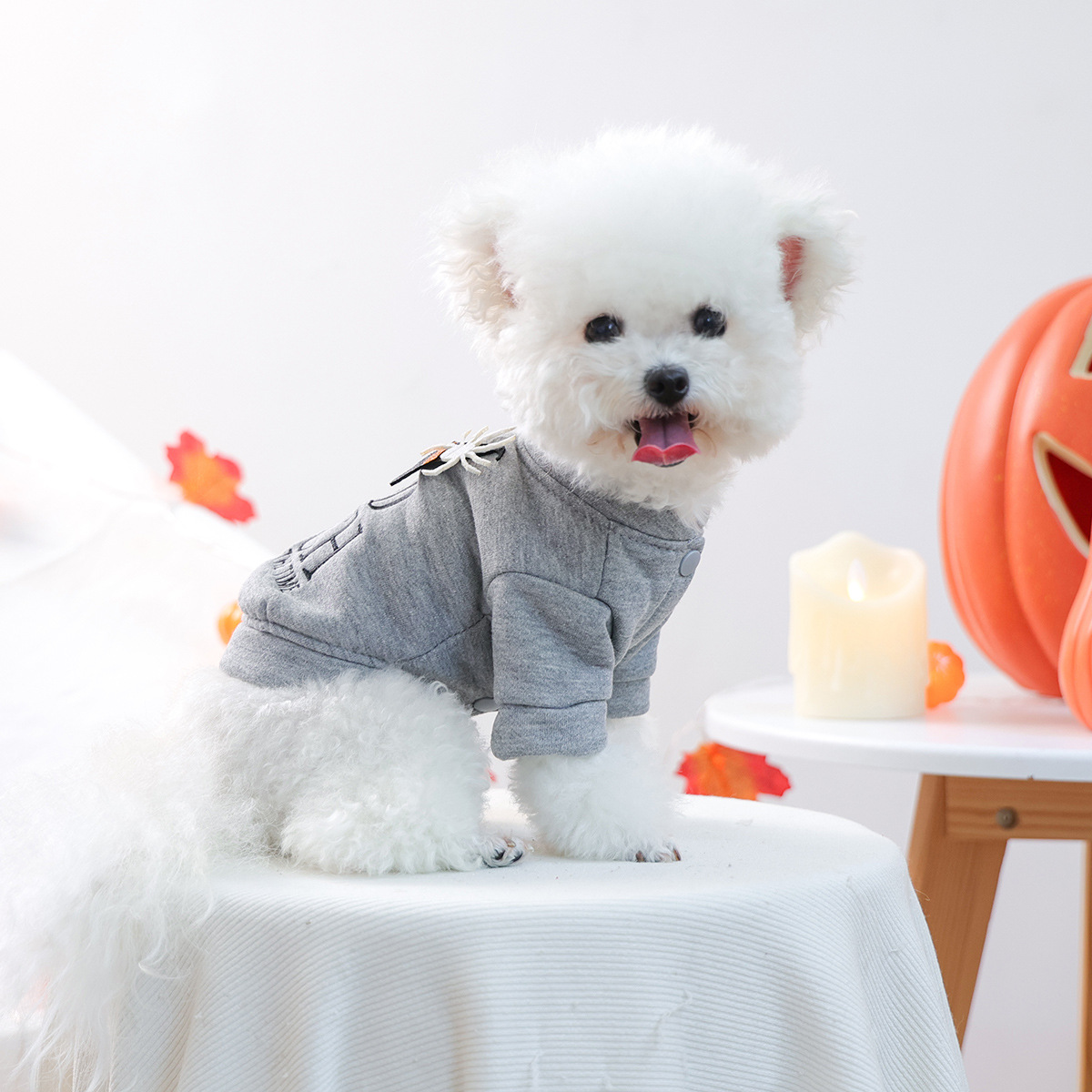 Pet Clothes Autumn Winter Small Dog Puppy Festival Letter Embroidery Good Witch Halloween Sweatshirt — image 3
